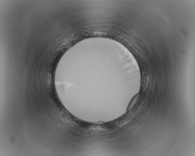 X0000110990704200907311010