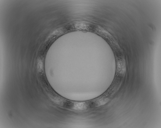 X0000110990705200907311010