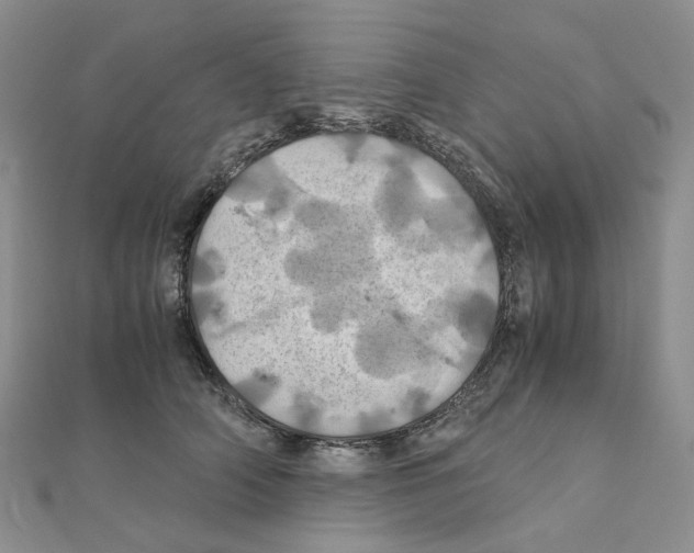 X0000110990706200907311010