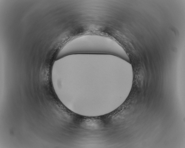 X0000110990708200907311010