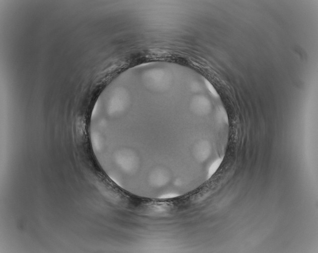 X0000110990711200907311010
