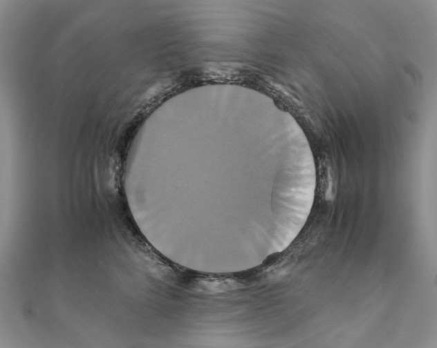 X0000110990712200907311010