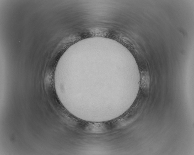 X0000110990713200907311010