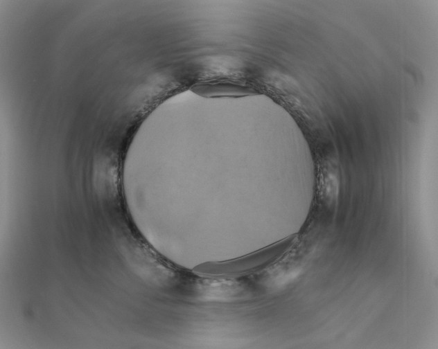X0000110990716200907311010
