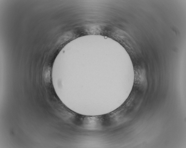 X0000110990717200907311010
