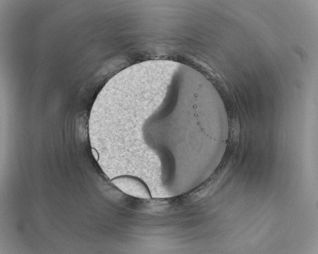 X0000110990719200907311010