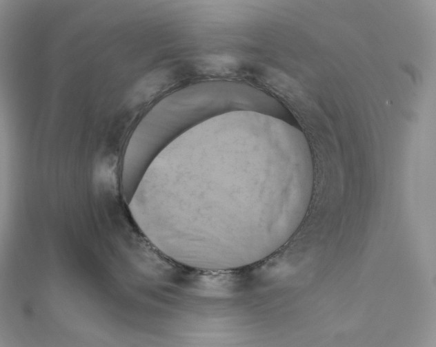 X0000110990720200907311010