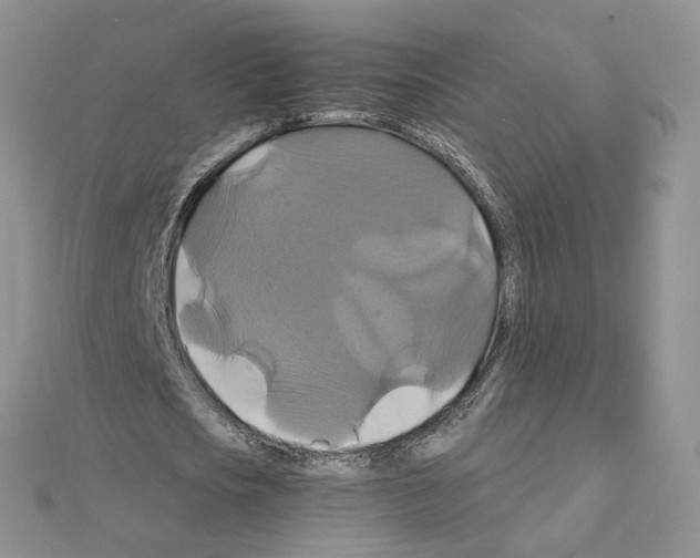 X0000110990721200907311009