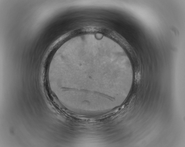 X0000110990724200907311009
