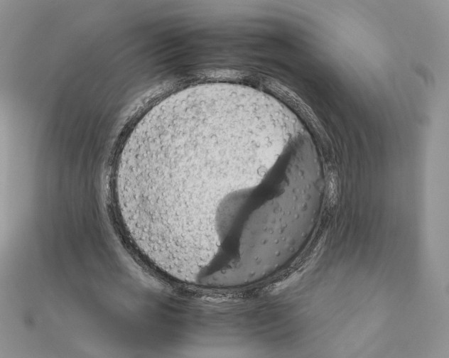 X0000110990725200907311009