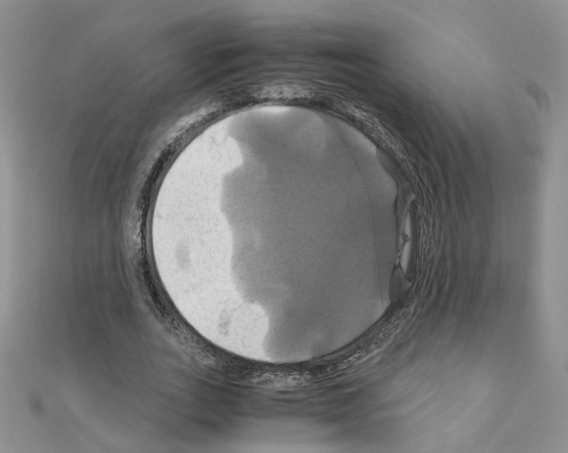 X0000110990727200907311009