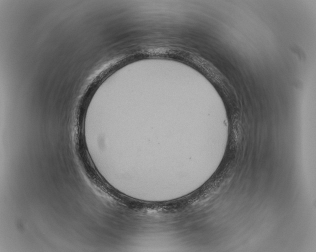 X0000110990728200907311009