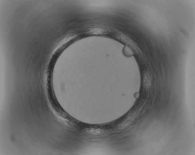X0000110990730200907311009