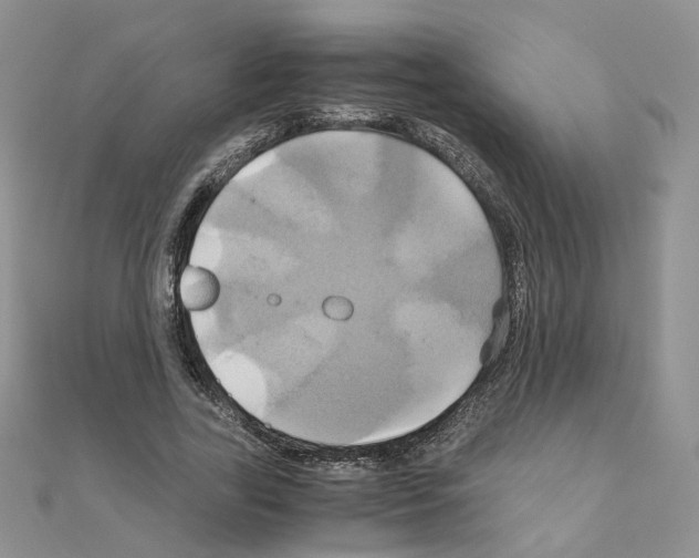 X0000110990731200907311009
