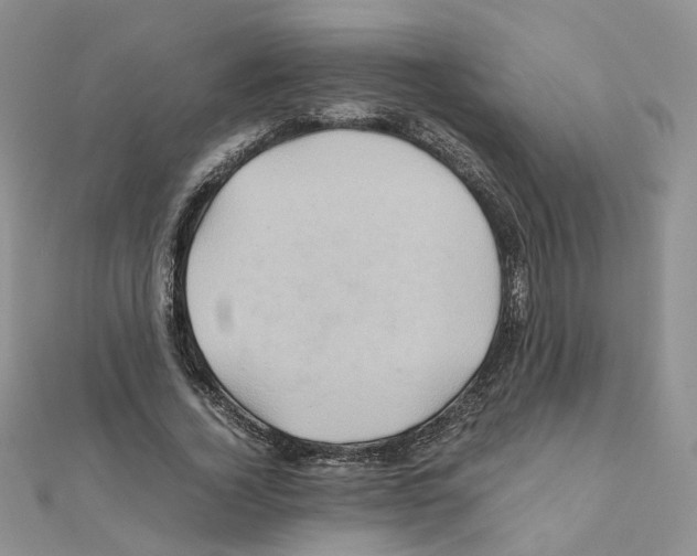 X0000110990732200907311009