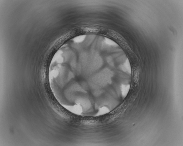 X0000110990733200907311009