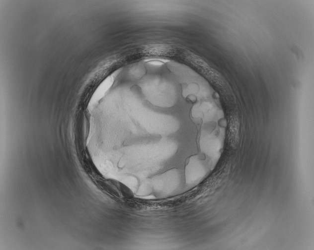 X0000110990734200907311009