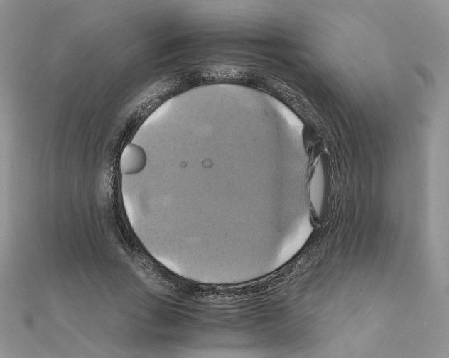 X0000110990735200907311009