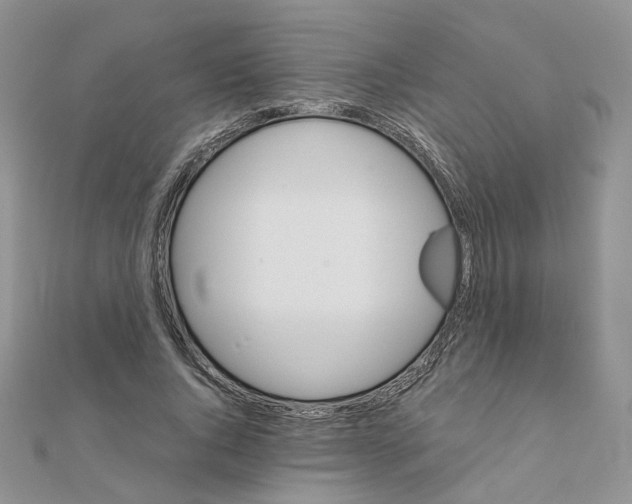 X0000110990736200907311009