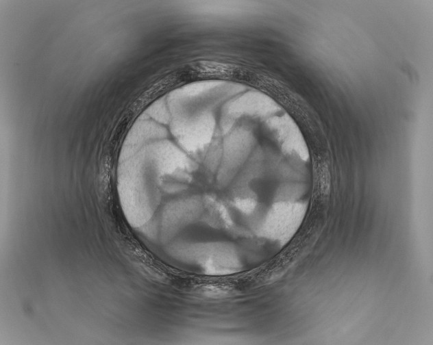 X0000110990737200907311009