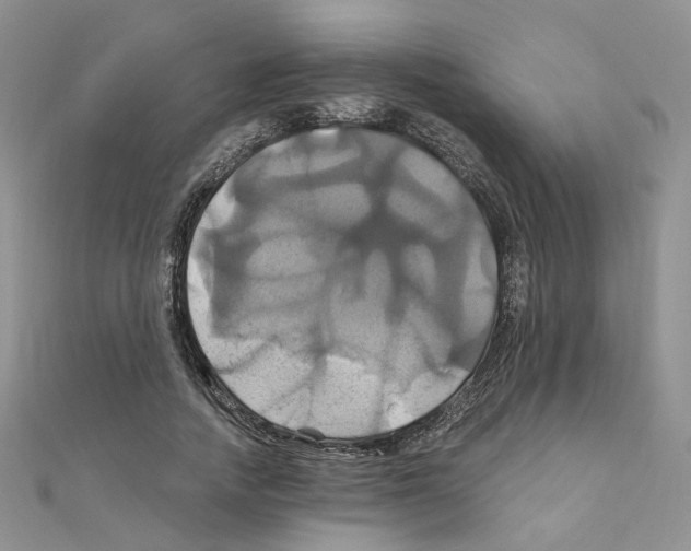 X0000110990738200907311009