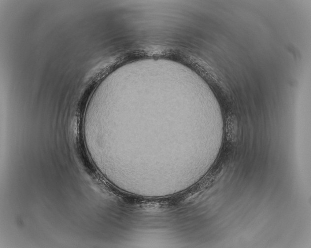 X0000110990740200907311009