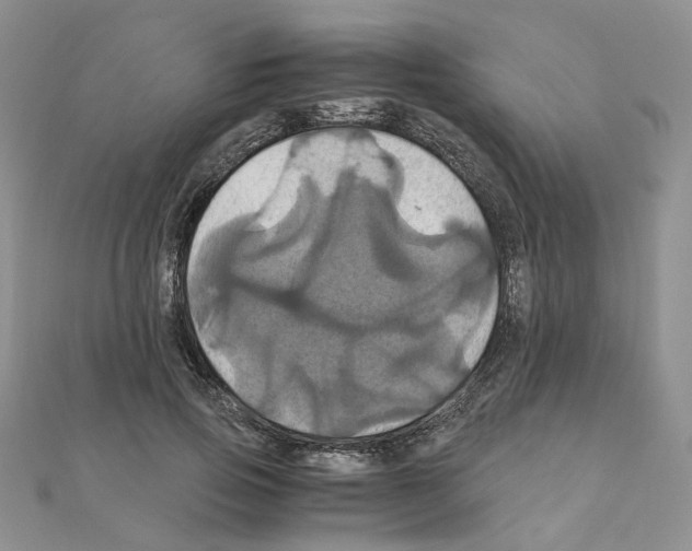 X0000110990741200907311009