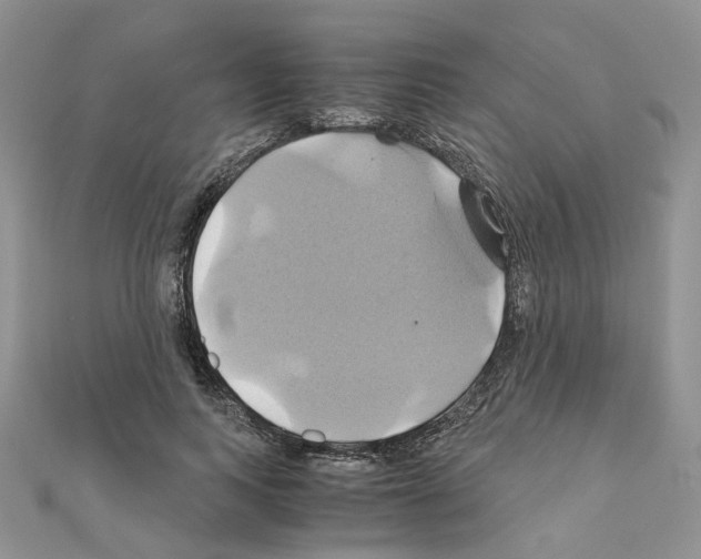 X0000110990743200907311009
