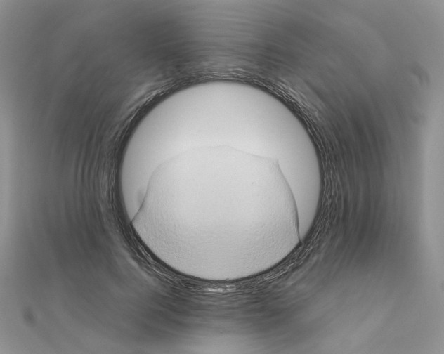 X0000110990744200907311009