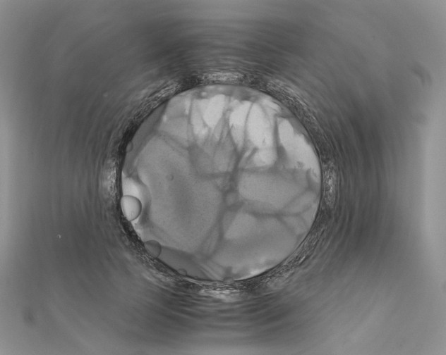 X0000110990745200907311009
