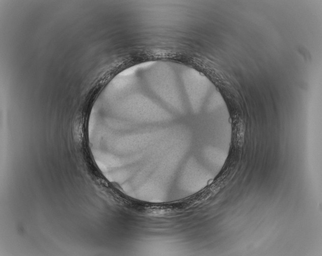 X0000110990746200907311010
