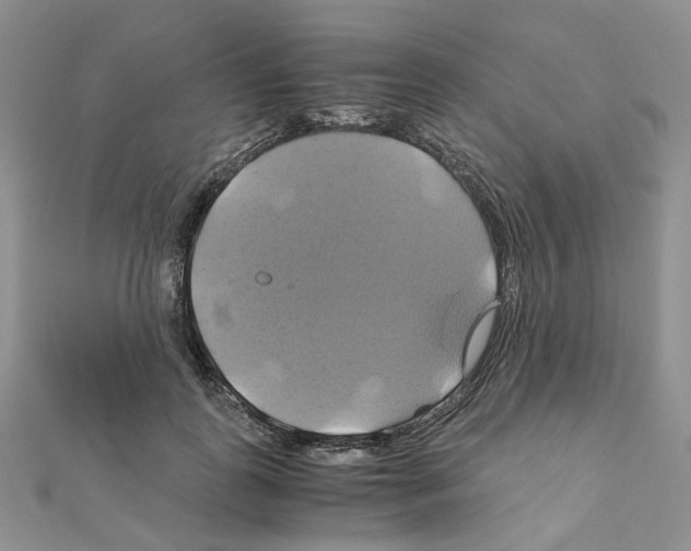 X0000110990747200907311010