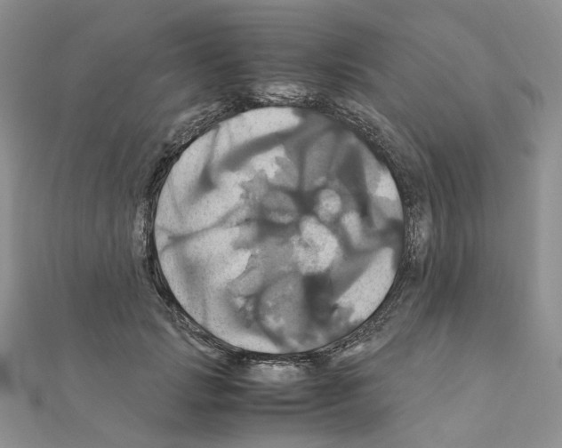 X0000110990749200907311010