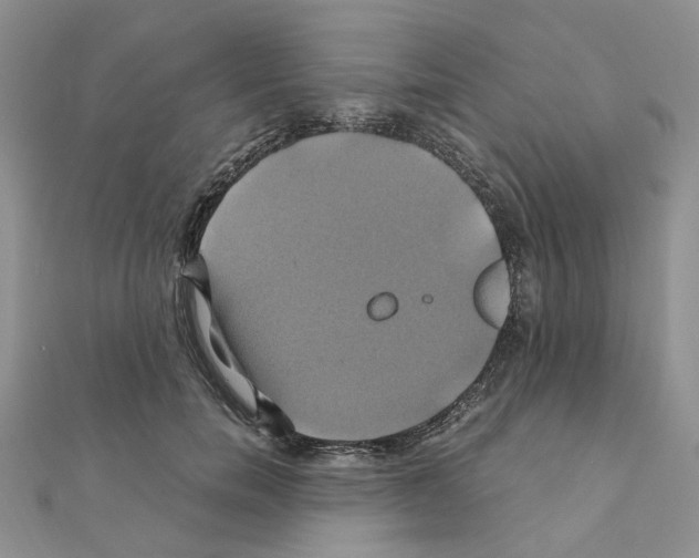 X0000110990750200907311010