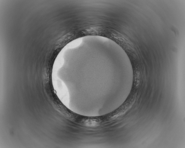 X0000110990751200907311010