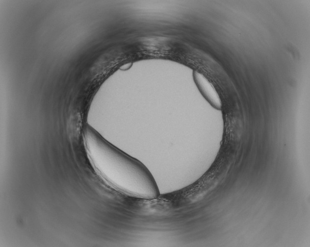 X0000110990752200907311010