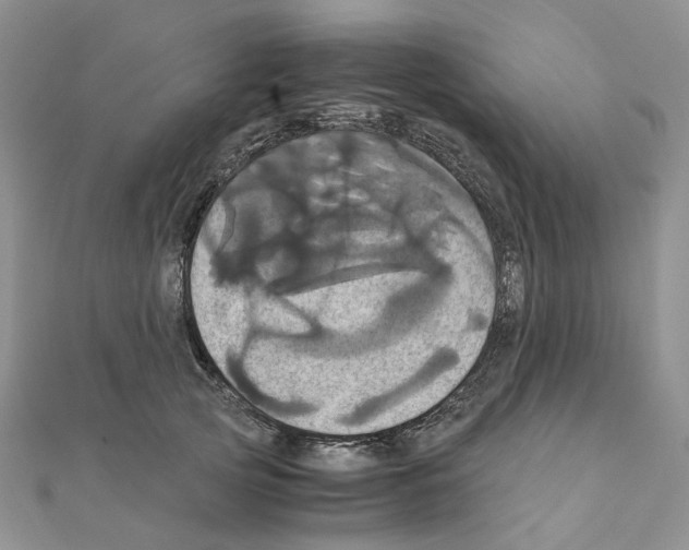 X0000110990753200907311010
