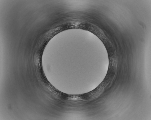 X0000110990754200907311010