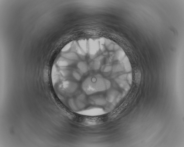 X0000110990757200907311010