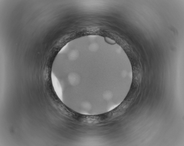 X0000110990758200907311010