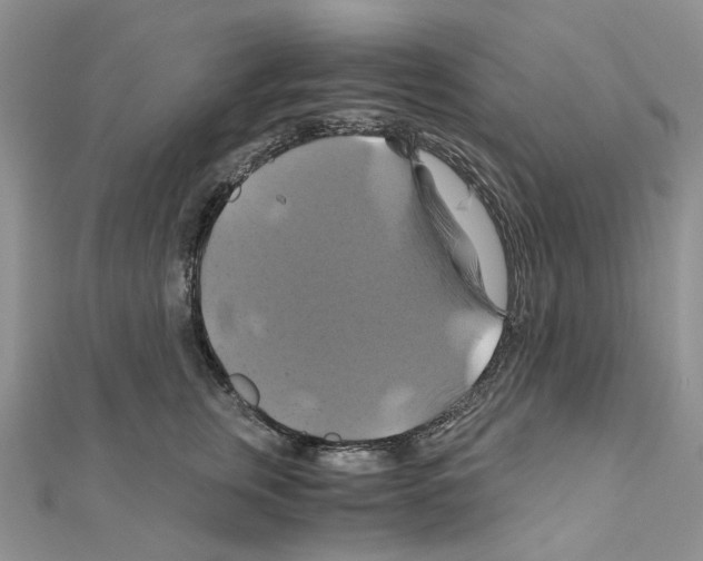 X0000110990759200907311010