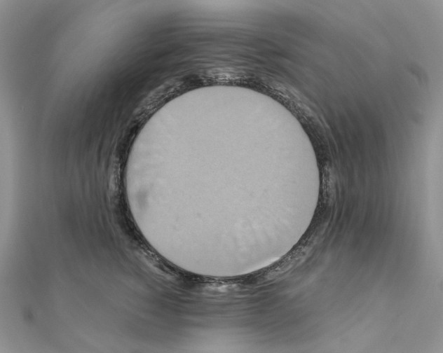 X0000110990760200907311010