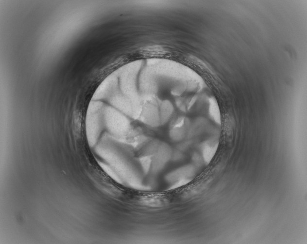 X0000110990761200907311010