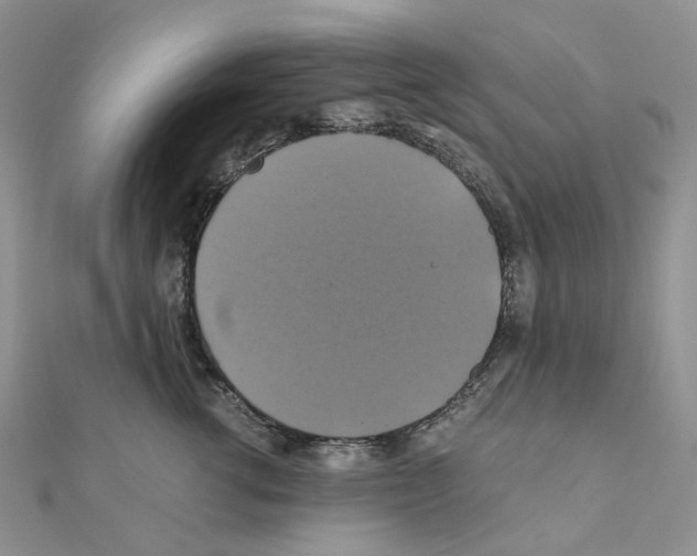 X0000110990762200907311010