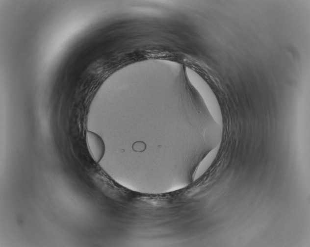 X0000110990763200907311010