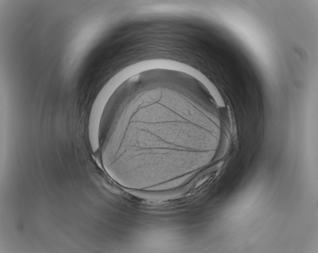 X0000110990766200907311010