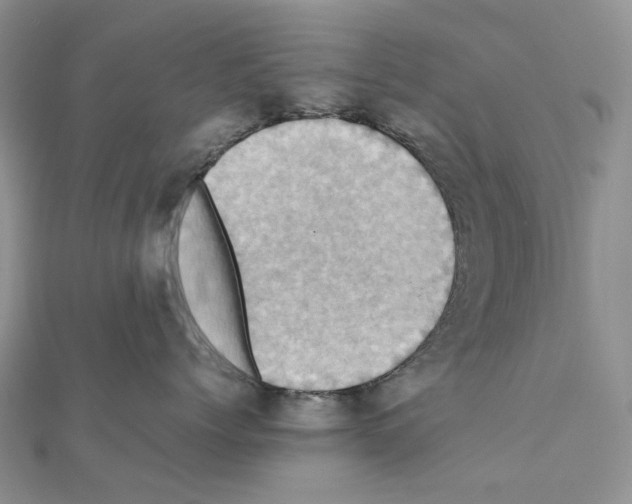 X0000110990768200907311010