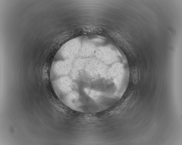X0000110990770200907311009