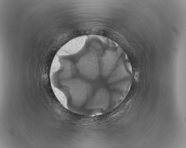 X0000110990771200907311009