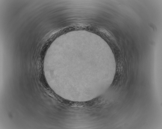 X0000110990773200907311009